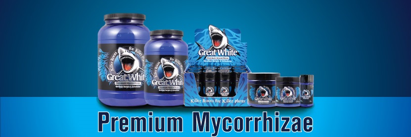 14517398 1311978075501444 2474963218671123293 n